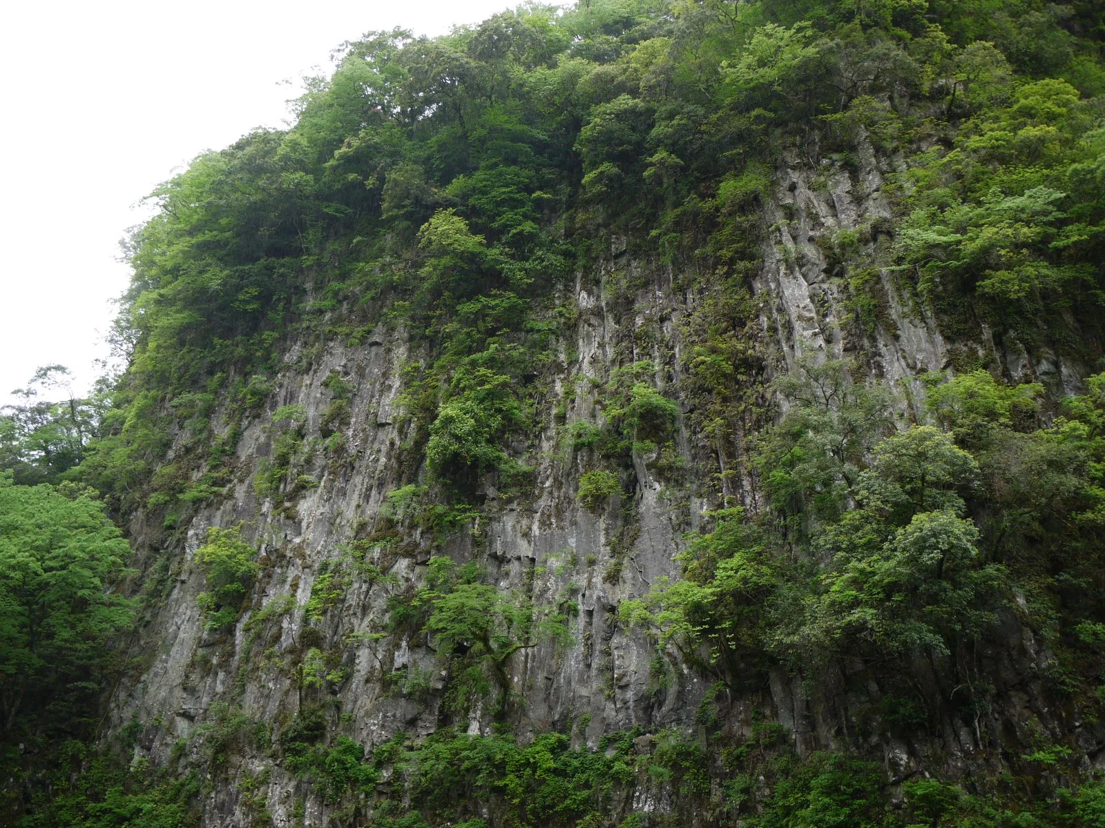 Sennin-no-Byobu basalt cliffs in Takachiho Gorge with autumn vegetation above the canyon