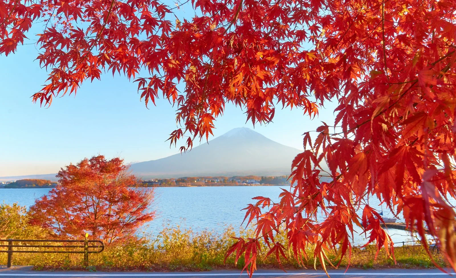 Lake Kawaguchiko autumn foliage and Mount Fuji during a photography overnight and second weather window