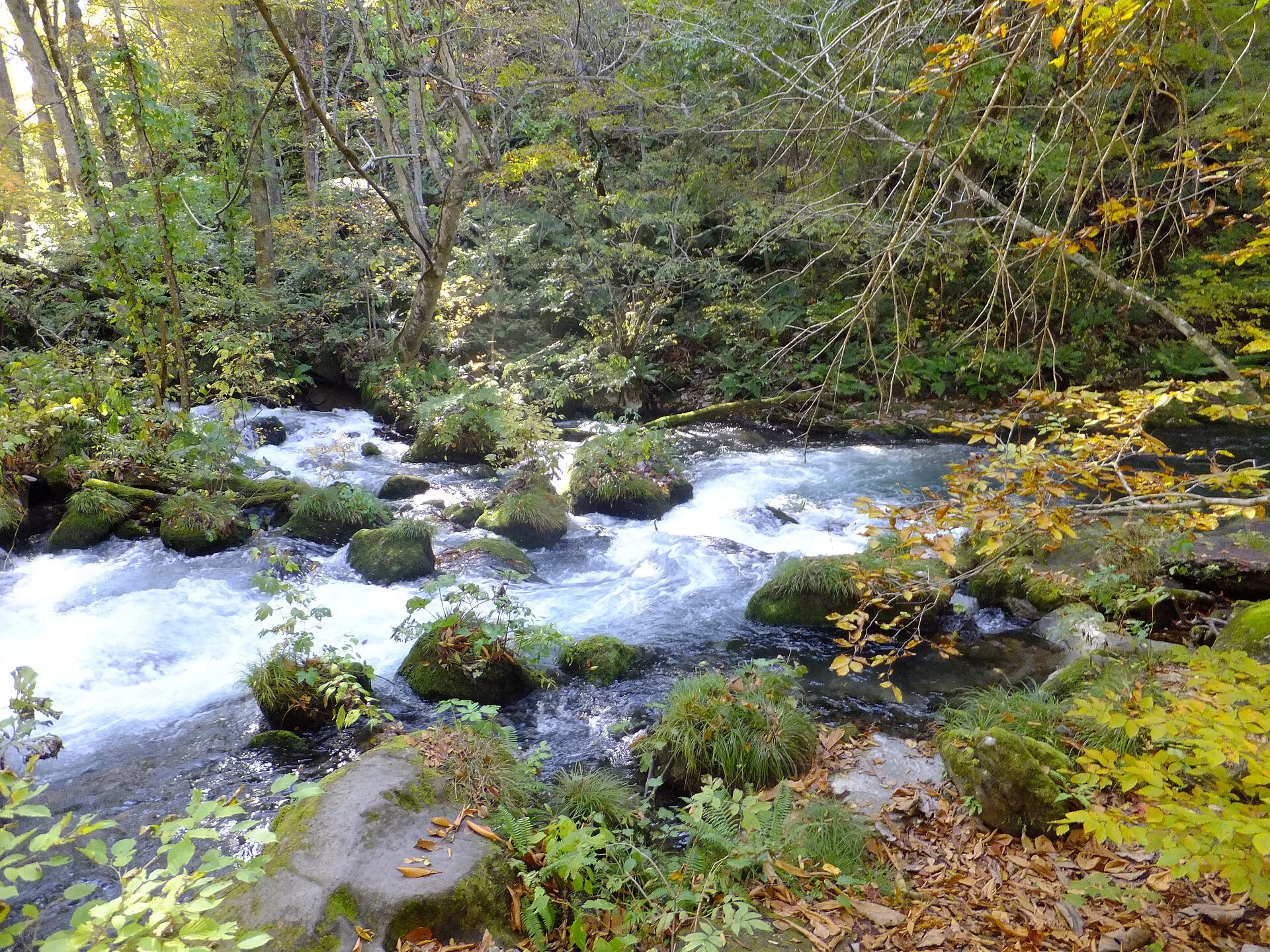 Autumn foliage and natural trail beside Oirase Stream
