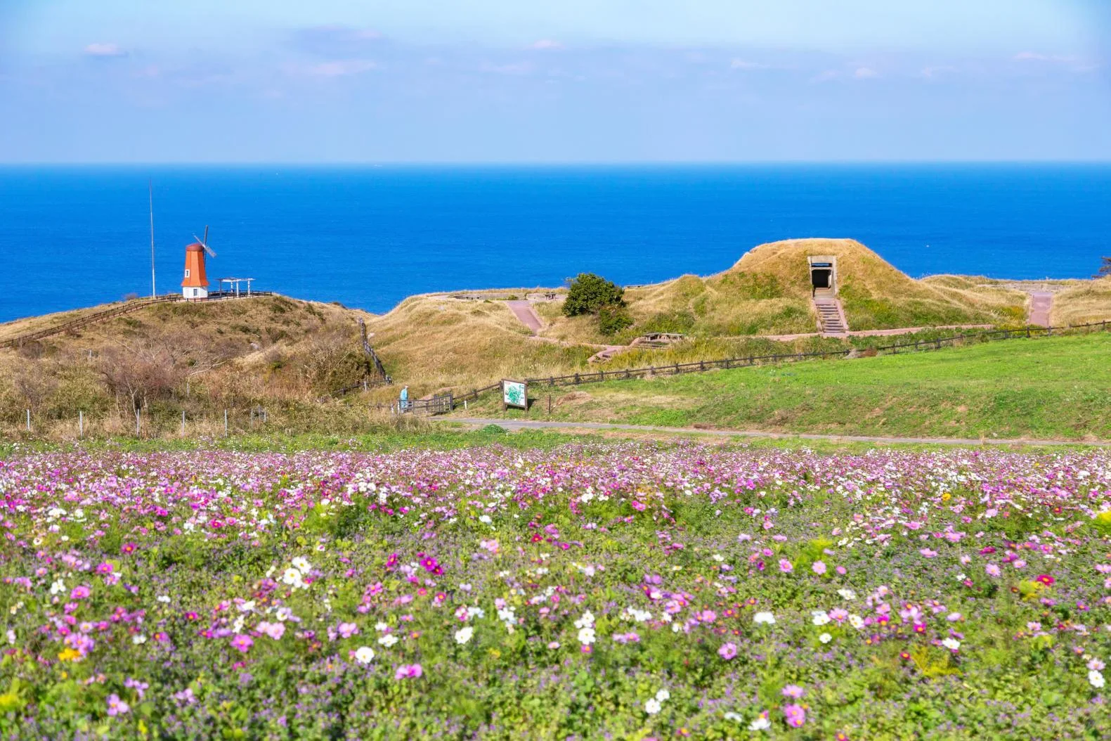 Scenery along the Munakata-Oshima heritage route, where visitors reach worship sites connected with sacred Okinoshima.