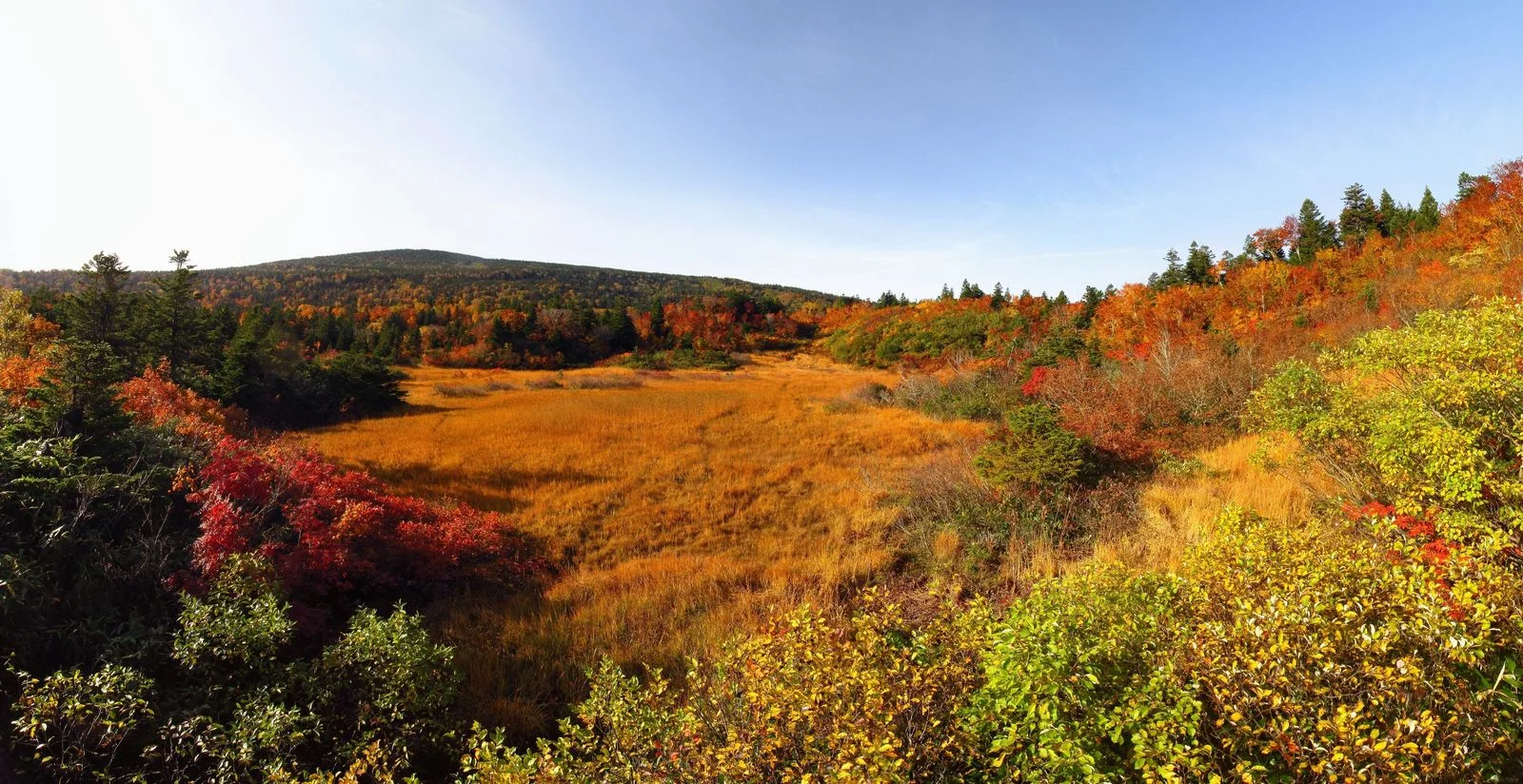 Hakkoda autumn landscape showing why Aomori works as a multi-direction northern Tohoku base