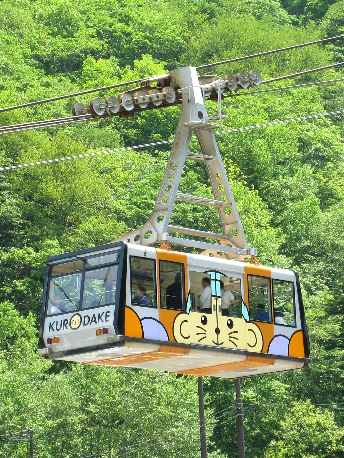Kurodake Ropeway gondola in mountain cloud, showing why the official live camera should be checked before boarding