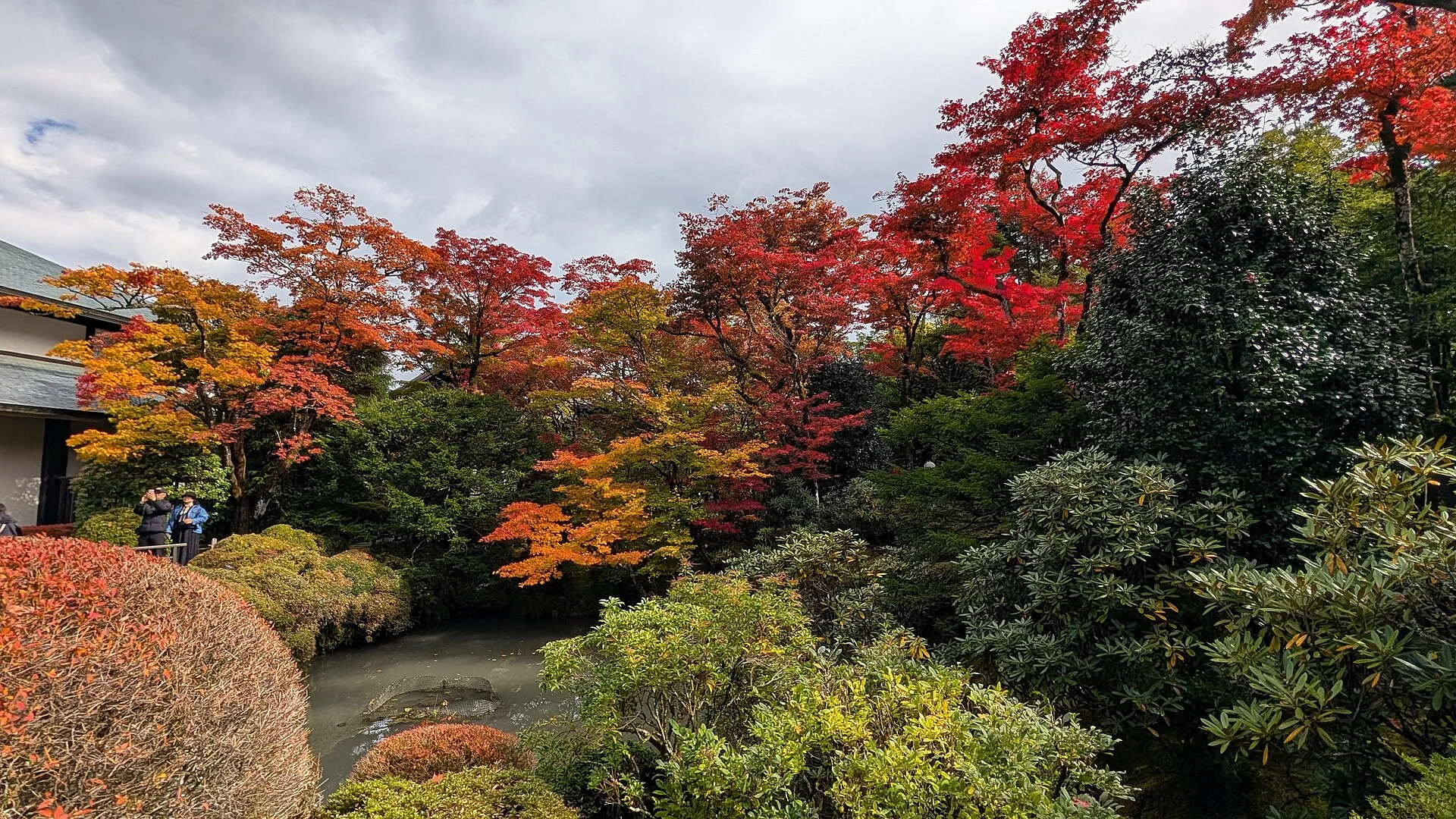 Shoyoen Garden autumn foliage showing that central Nikko and Oku-Nikko do not peak together