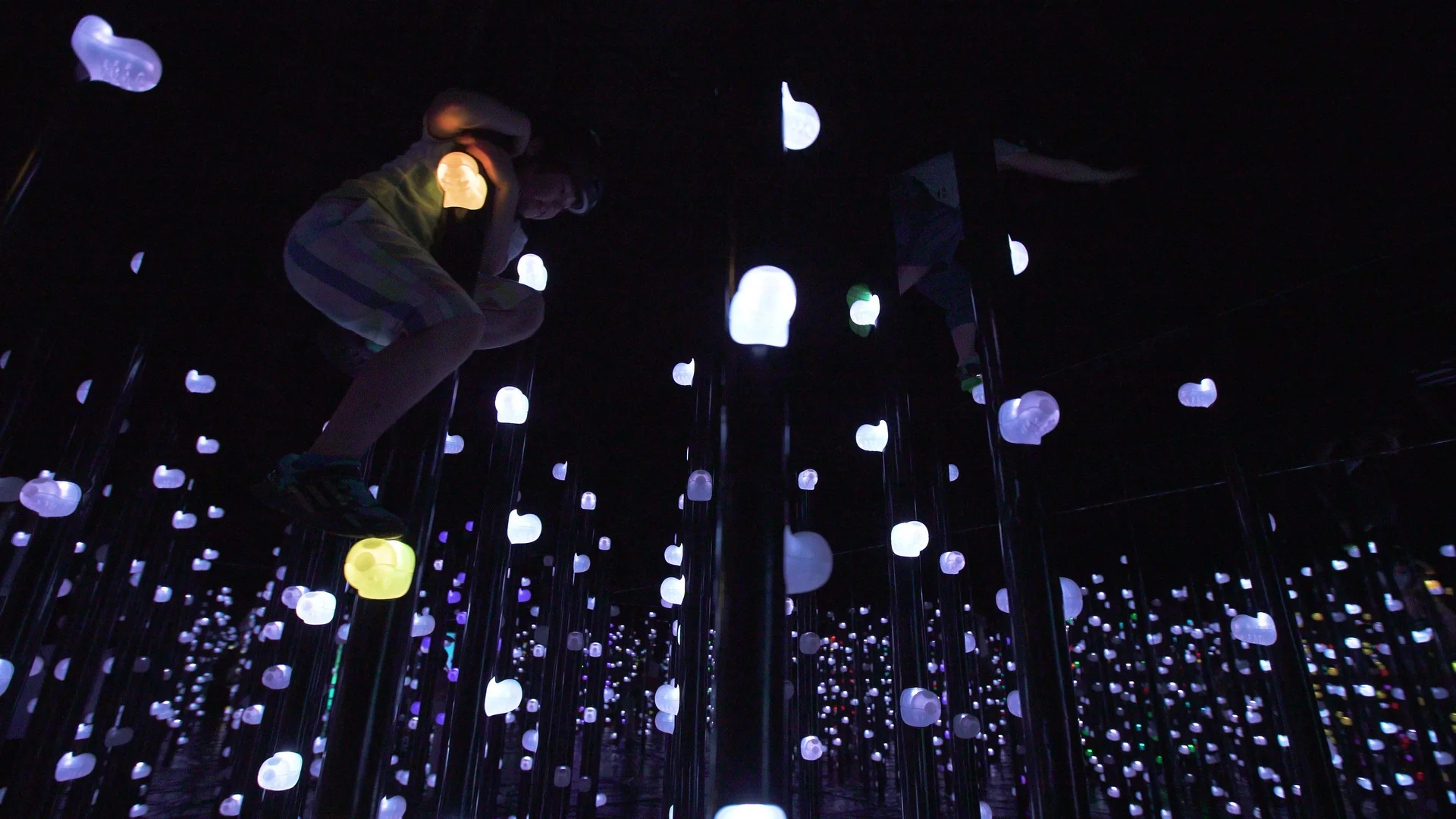 Athletics Forest at teamLab Biovortex Kyoto