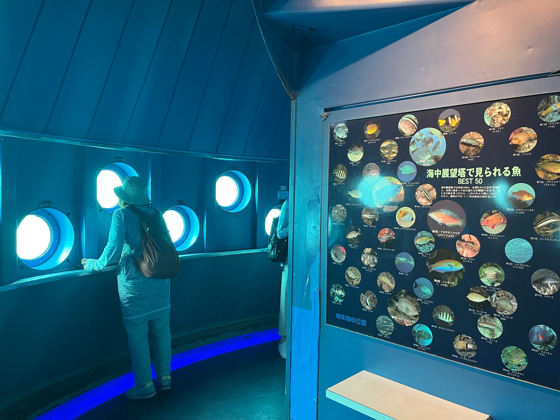 Natural fish and coral seen through the underwater observation windows at Kushimoto Marine Park