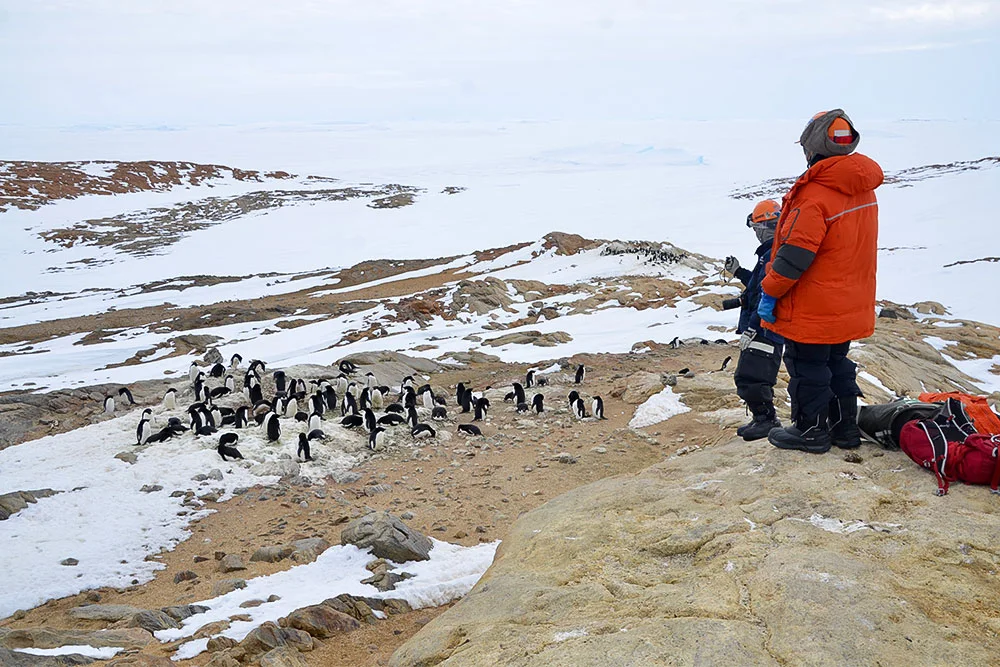 Antarctic research team conducting a penguin population census