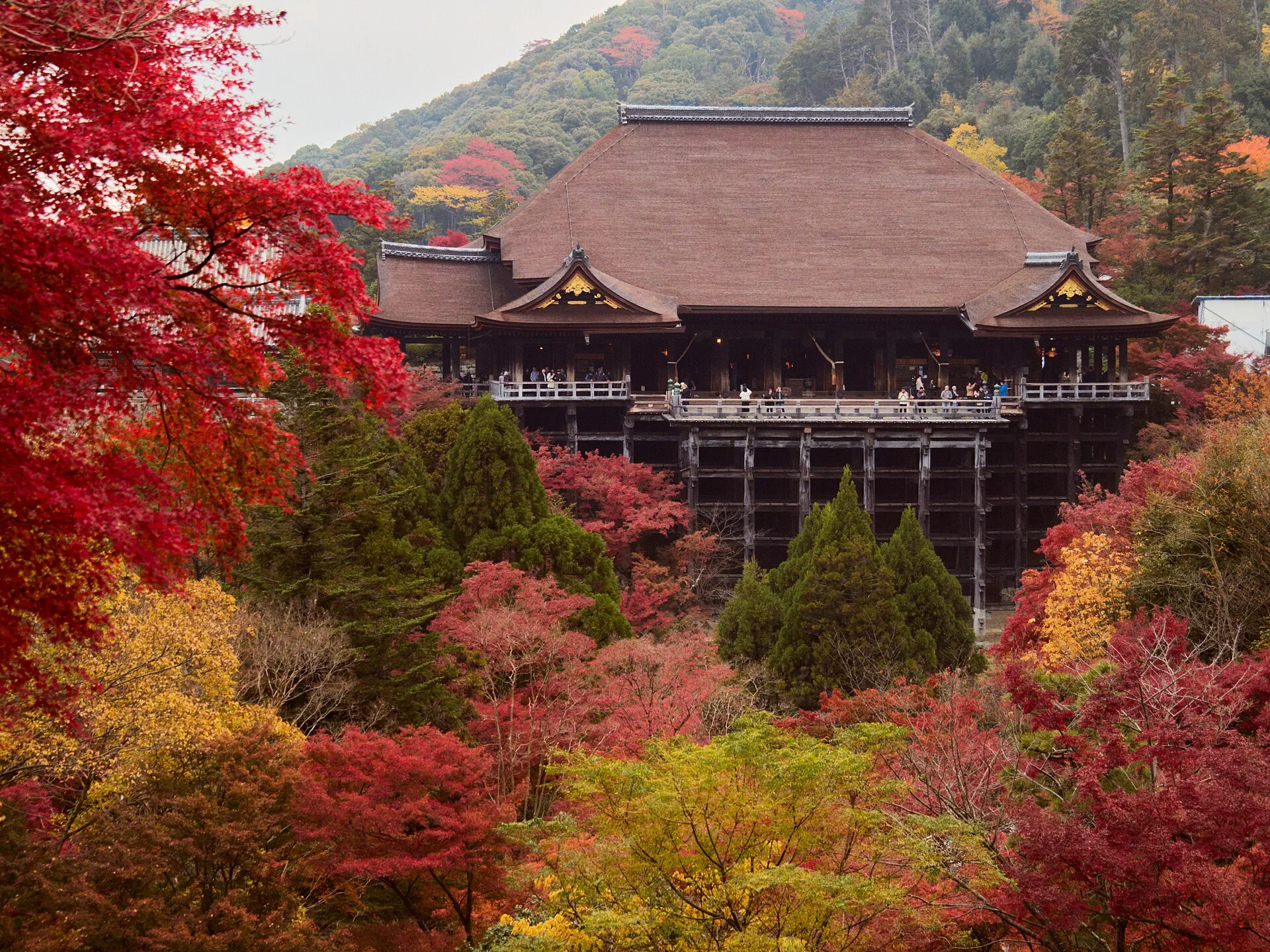 Kiyomizudera autumn colour on a three-day Kyoto itinerary