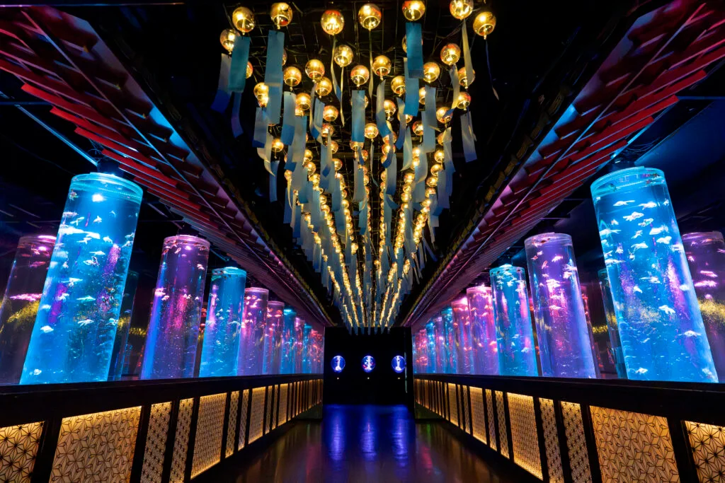 Goldfish Corridor at Art Aquarium Museum GINZA during the 2026 summer exhibition