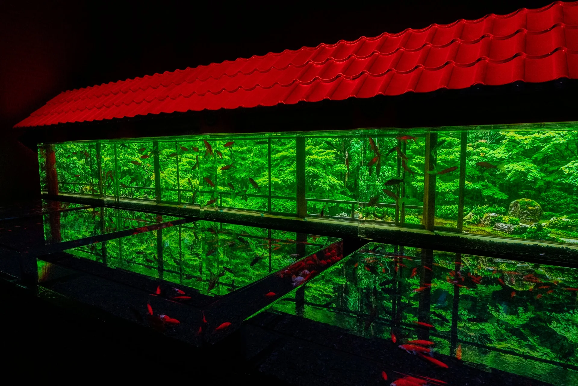 Water Mirror Scroll installation at Art Aquarium Nagoya 2026
