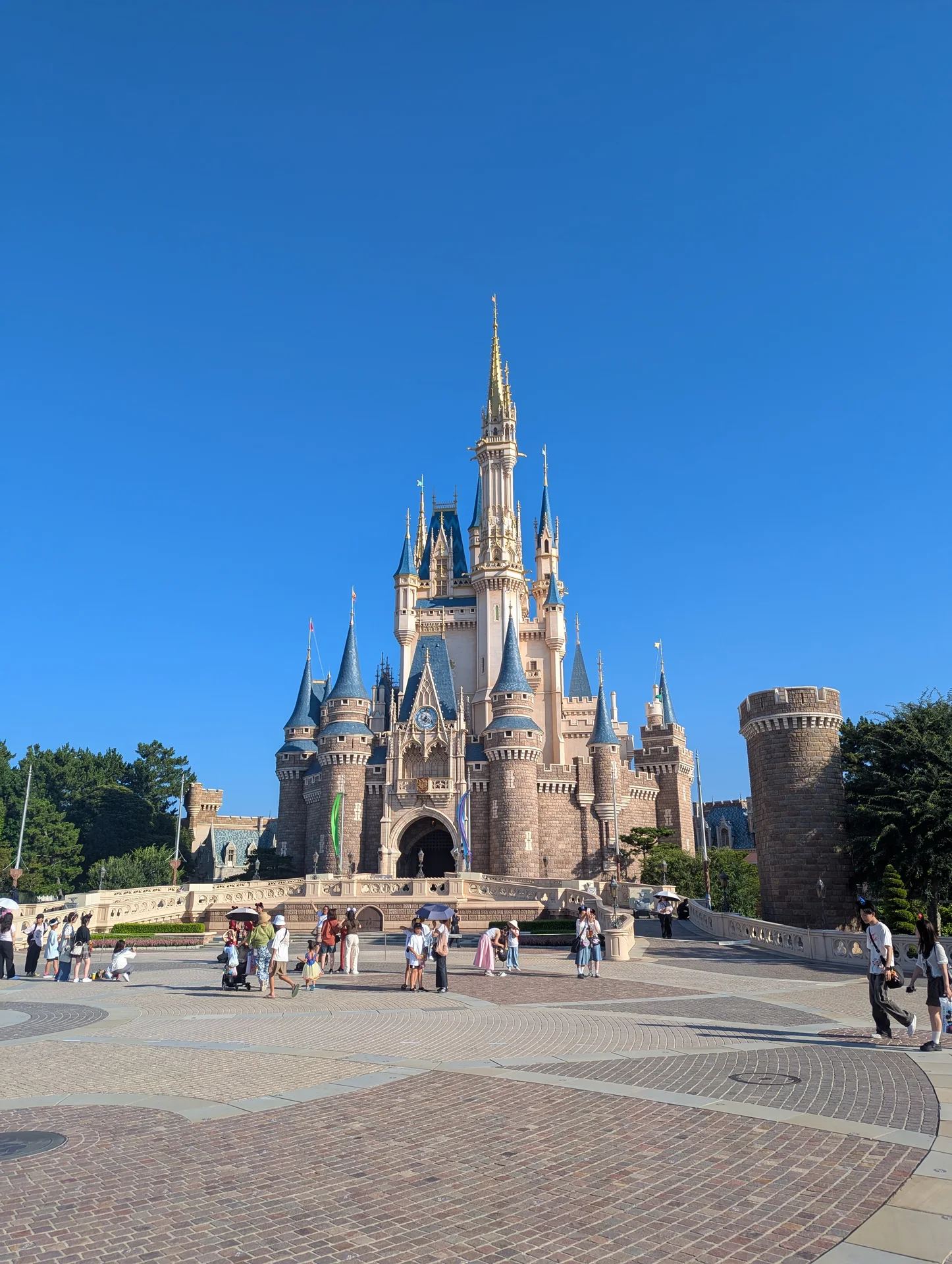 Cinderella Castle at Tokyo Disneyland during a one-day Disney visit