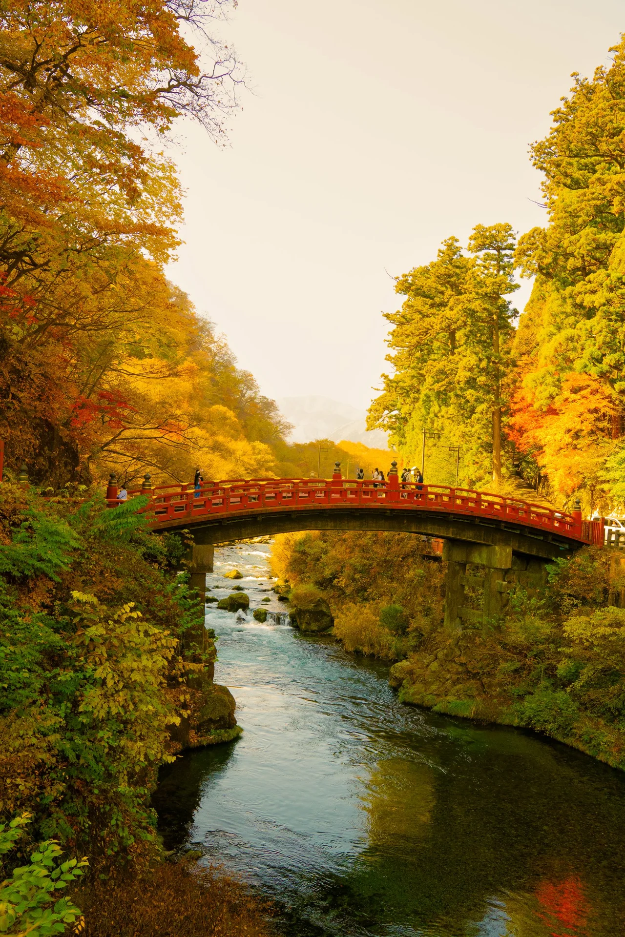 Central Nikko temple approach and autumn forest as an interchangeable cultural module