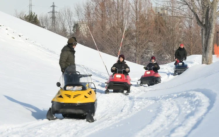 Premist Dome 30-minute Sapporo snowmobile experience, useful for travellers who want to try snowmobiling without spending much of the day reaching an outer-city mountain course.