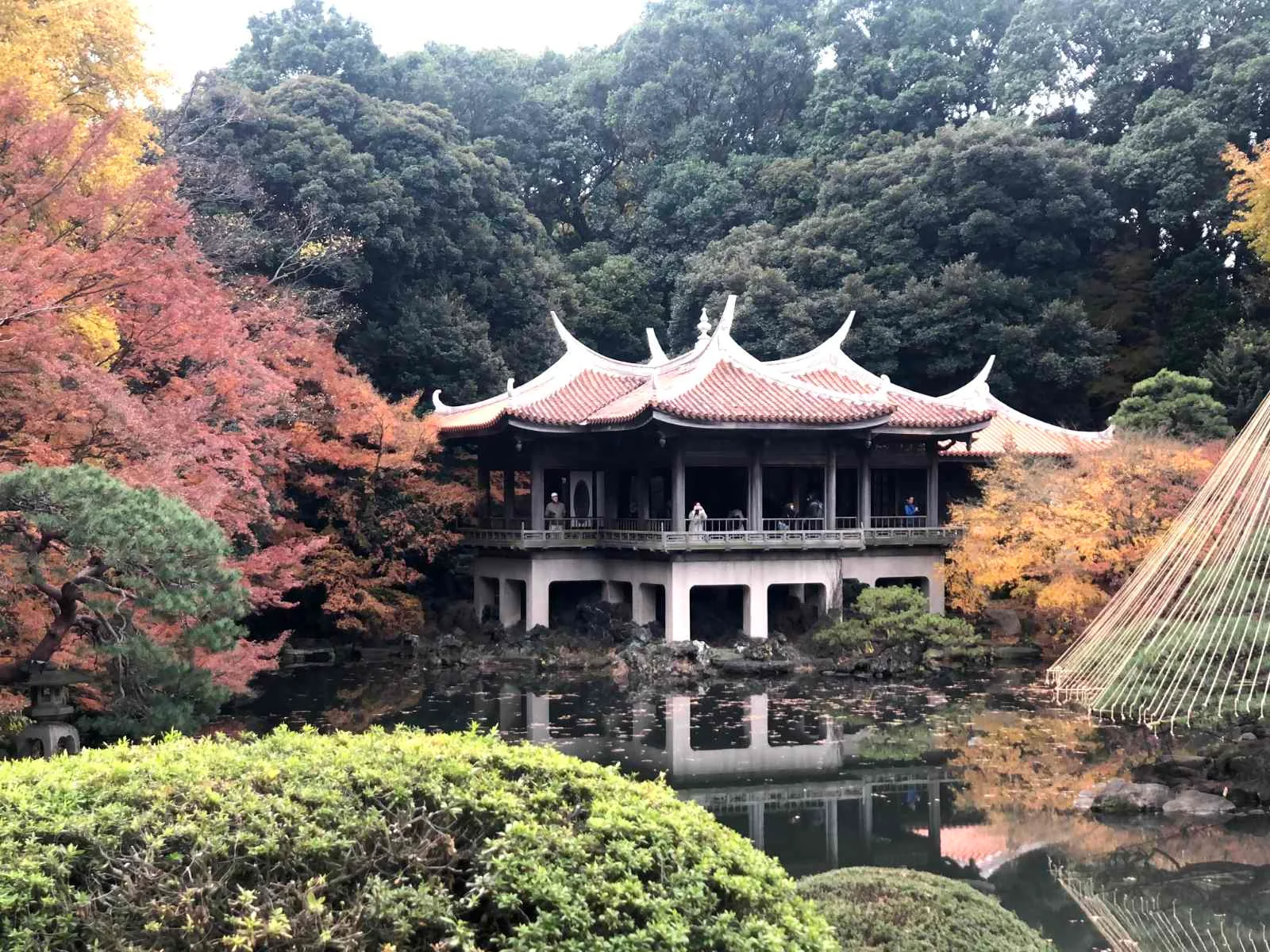 Autumn foliage and broad garden scenery at Shinjuku Gyoen