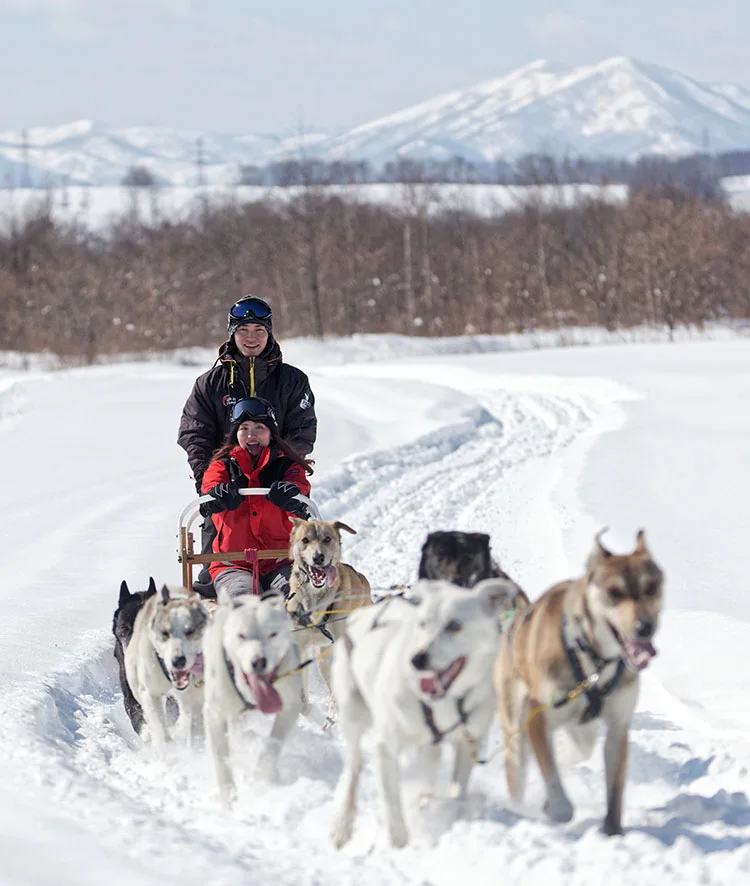 Dog sledding in Shikaoi, Tokachi, where the true cost includes winter transport and an overnight buffer.
