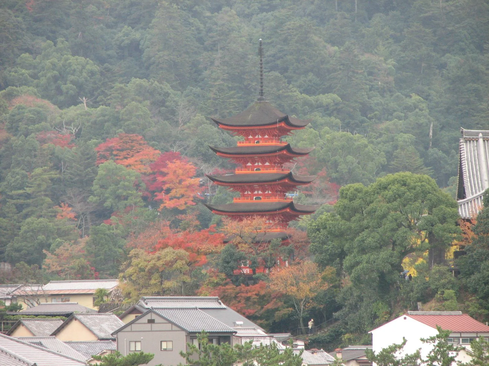 Maple foliage around Senjokaku on Miyajima in the second half of November
