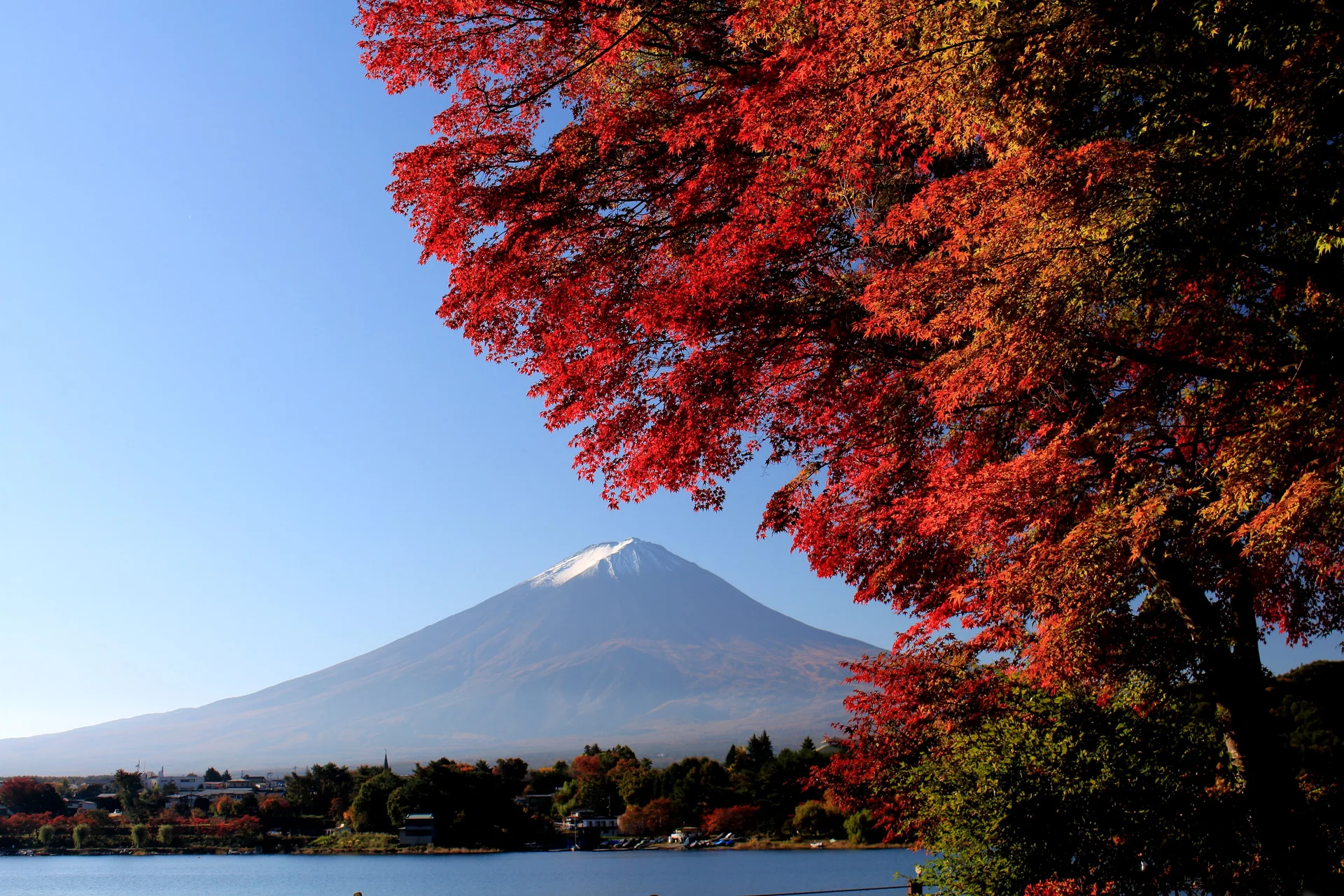 Lake Kawaguchi autumn foliage and Mount Fuji for a family-friendly hotel-based route