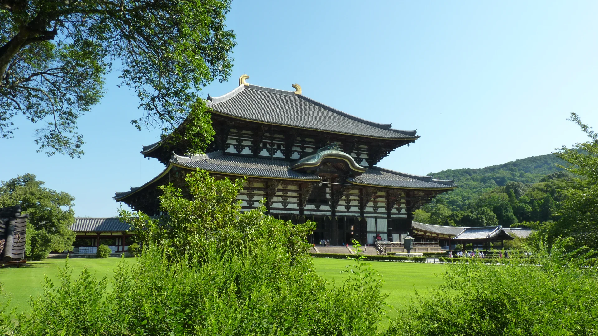 Todai-ji and the core walking area for an independent Nara day trip from Osaka