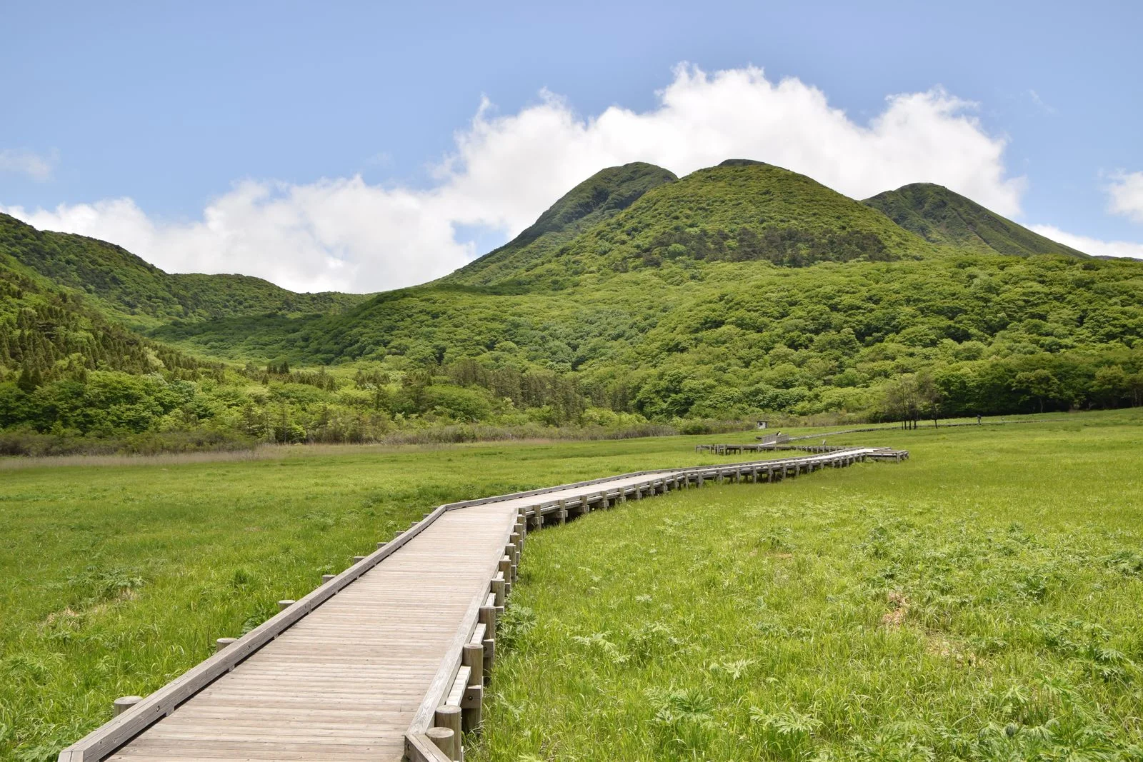 Boardwalk across Tadehara Wetlands at Chojabaru below the Kuju trails