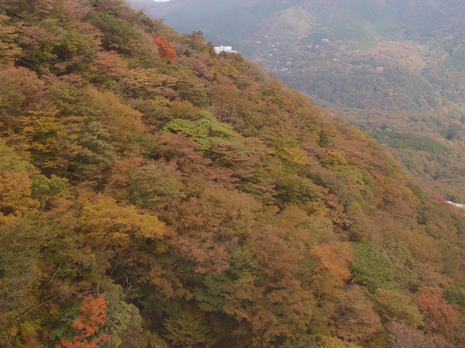 Hakone Ropeway between Sounzan and Owakudani, the daytime segment that creates the hardest timing pressure on the loop