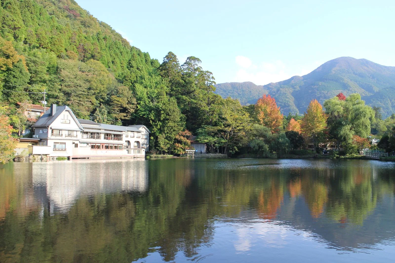 Lake Kinrin Autumn Leaves Guide: Morning Mist, Fukuoka Access and Yufuin Hotels — Japan travel guide