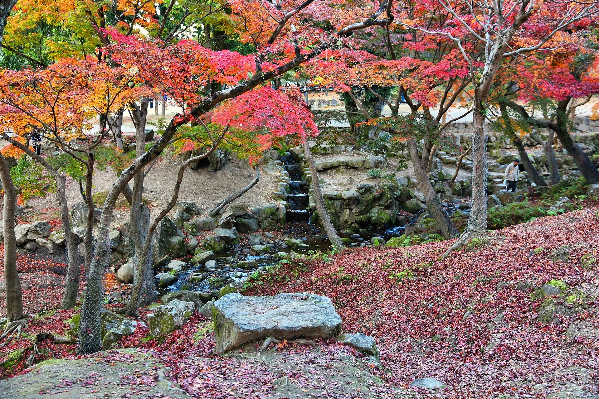 Low-elevation Nara Park late autumn colour as an optional early-December city experience
