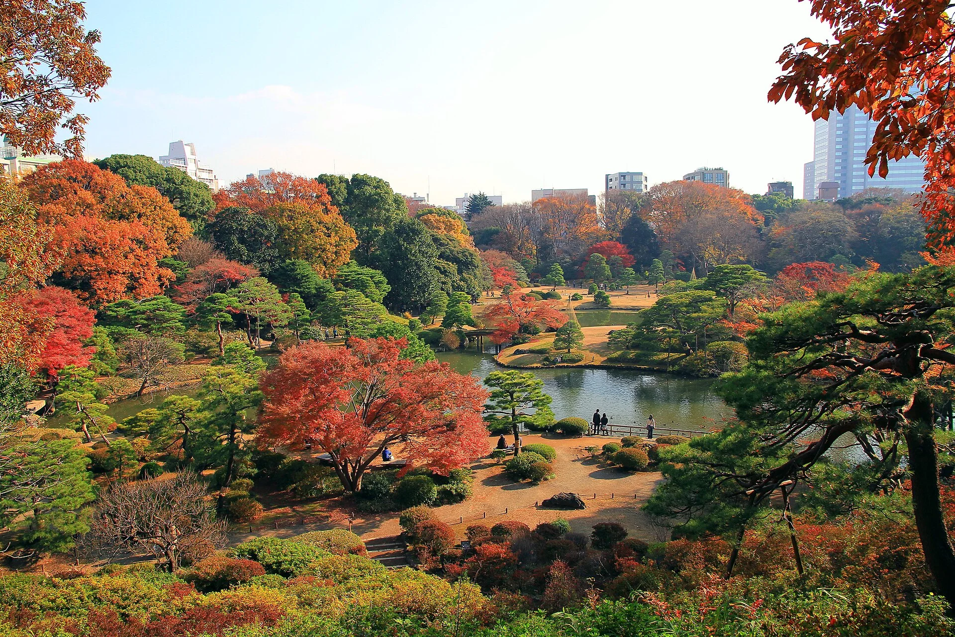 Rikugien late-autumn maples for a Tokyo evening foliage route