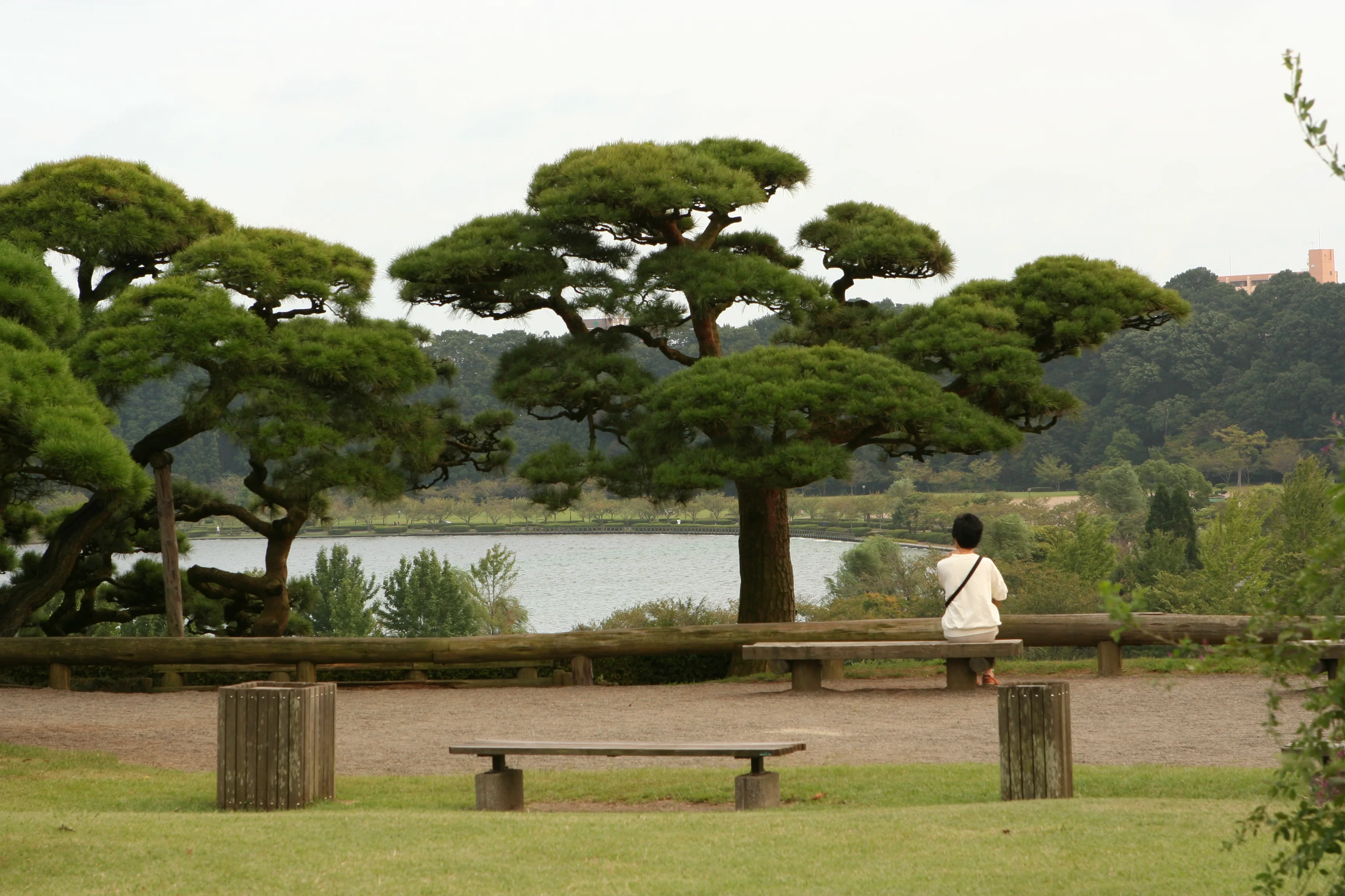 Kairakuen garden in Mito for a Mito versus Oarai accommodation comparison