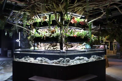 Aquarium-art exhibition space inside átoa Kobe