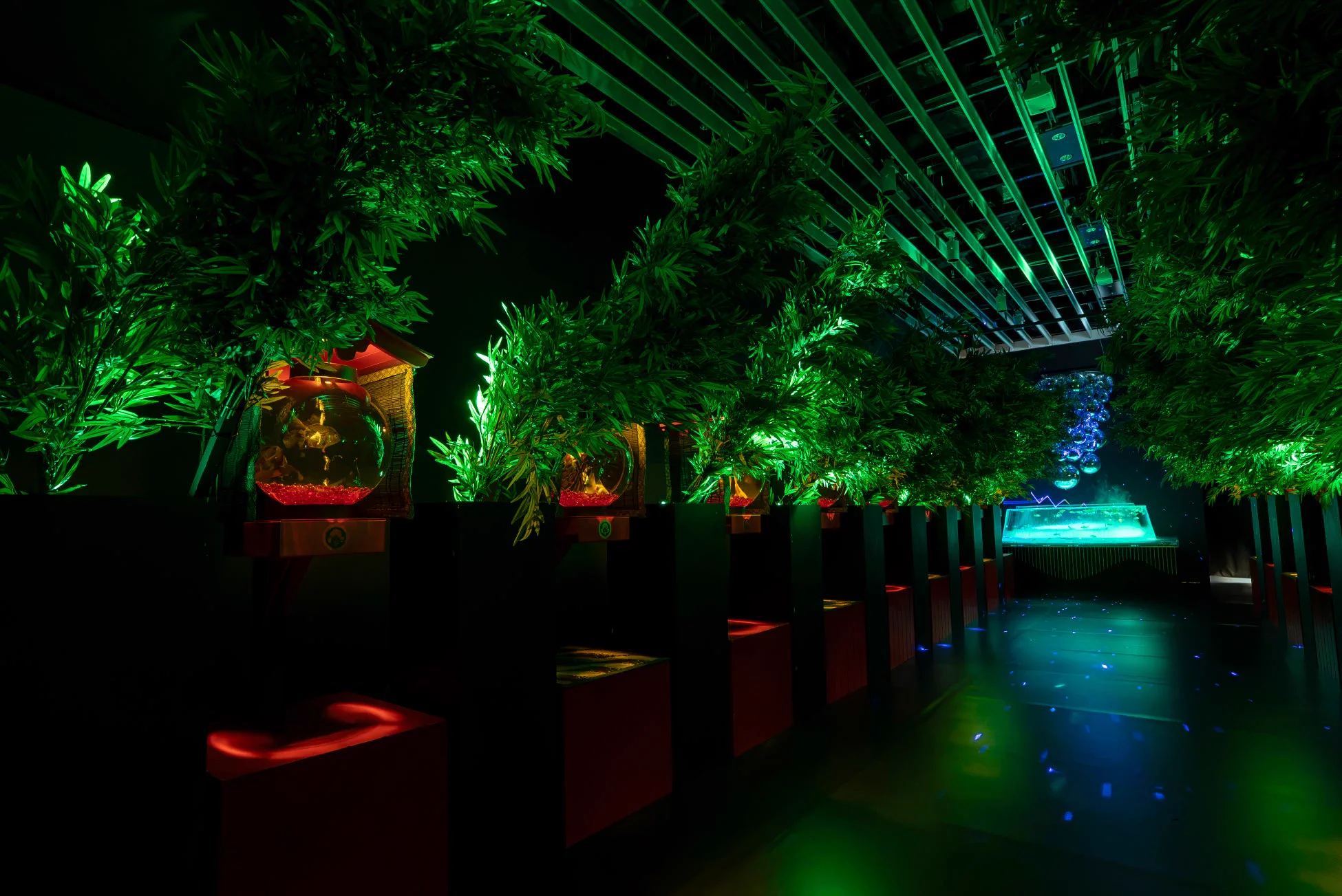 Lantern Alley goldfish tanks at Art Aquarium Nagoya 2026