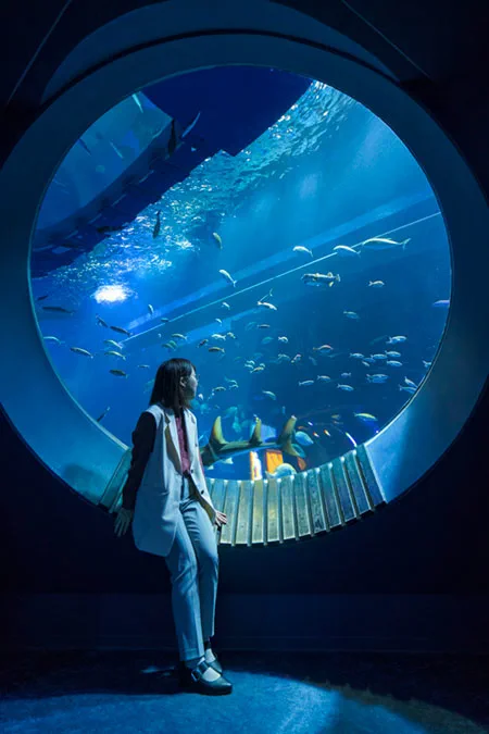 Large circular viewing window at DMM Kariyushi Aquarium in Okinawa