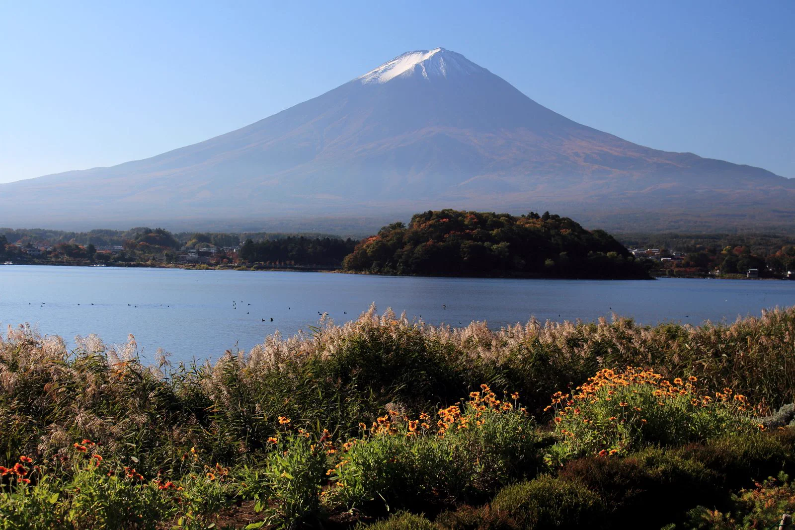 Autumn foliage at Oishi Park beside Lake Kawaguchiko with Mount Fuji, illustrating why hotel location and room direction are separate decisions