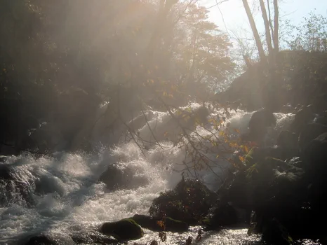 Ashura no Nagare rapids along Oirase Stream in autumn