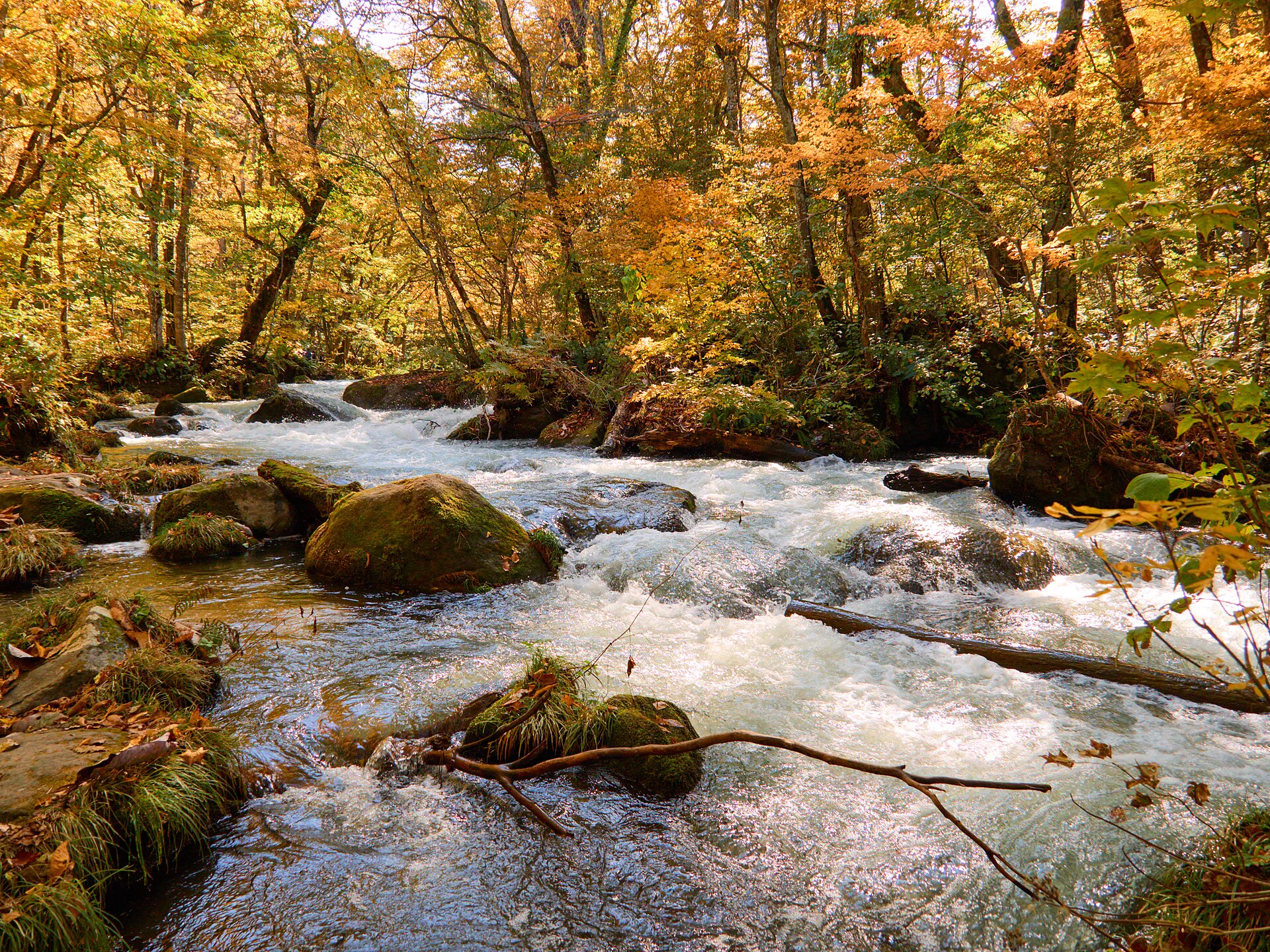 Oirase by Car or Public Transport: Parking, Buses and One-Way Walks — Japan travel guide