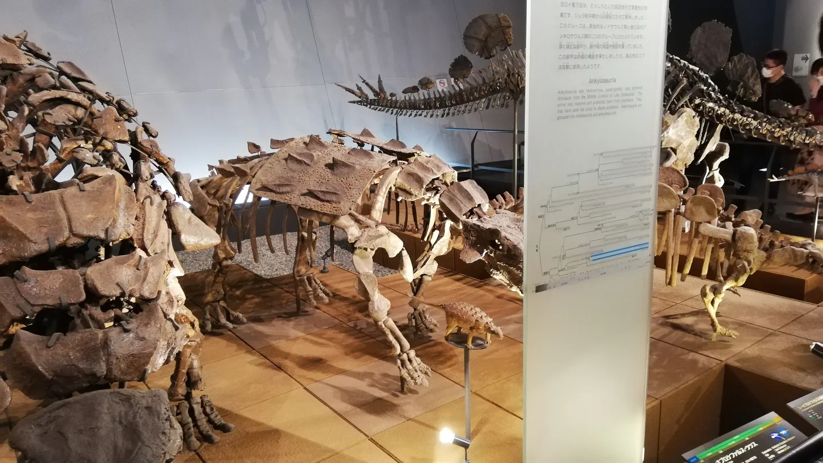 The Fukui Prefectural Dinosaur Museum deserves a protected family sightseeing day rather than being squeezed behind a hotel move