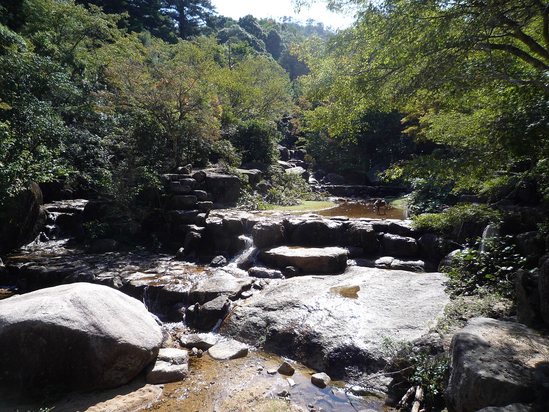 Miyajima late-November autumn foliage and stream scenery