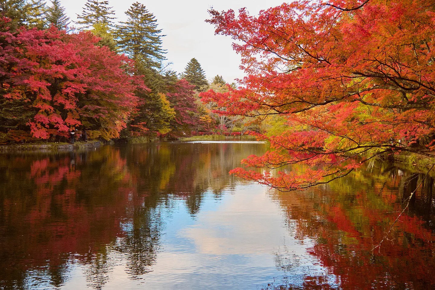 Karuizawa Autumn Leaves 2026: Kumoba Pond, Shiraito, Cycling and Trains — Japan travel guide