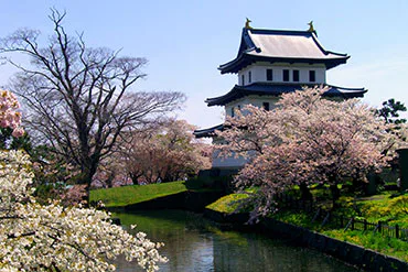 Japan’s 100 Famous Castles No.3: Matsumae Castle — The ¥360 Ticket Is Not the Expensive Part — Japan travel guide