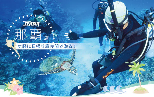 Kerama Discovery Diving: Seasickness, SEASIR Naha and Your First Dive — Japan travel guide