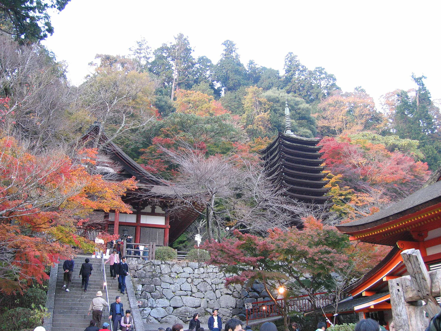 Nara Autumn Leaves Day Trip: Nara Park, Tanzan Shrine or Hasedera? — Japan travel guide