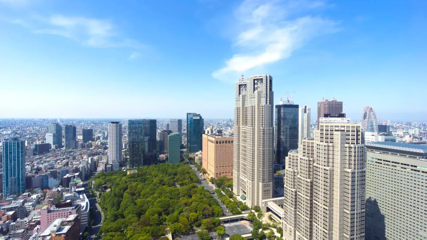 Shinjuku skyline and dense urban streets around the major transport hub