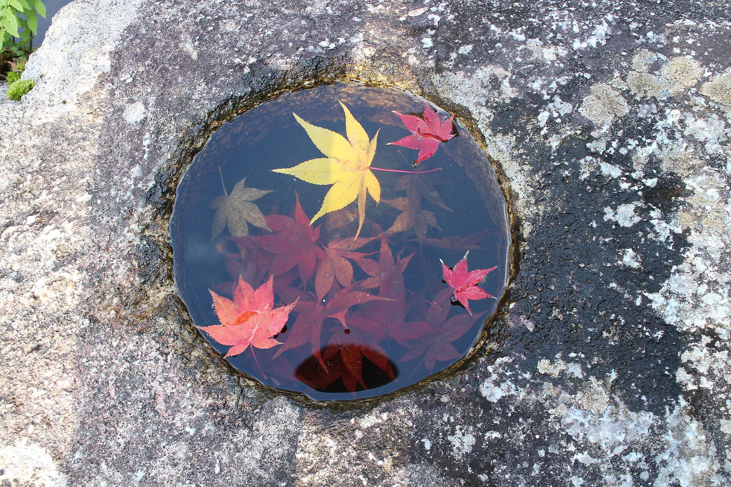 Japan Autumn Leaves Late November: Kyoto, Tokyo, Nara, Miyajima and Kyushu — Japan travel guide