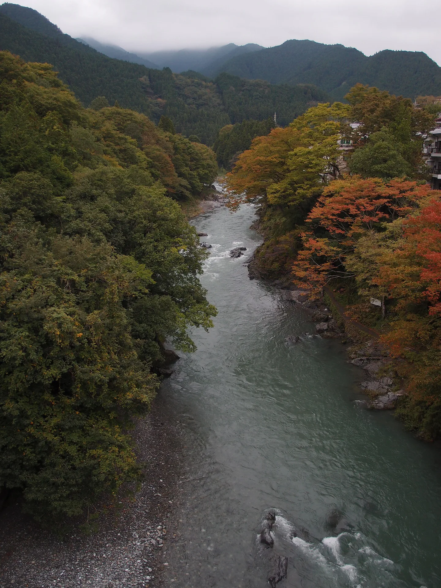 Okutama Autumn Leaves Guide: Mitake Gorge, Lake Okutama and Car-Free Routes — Japan travel guide