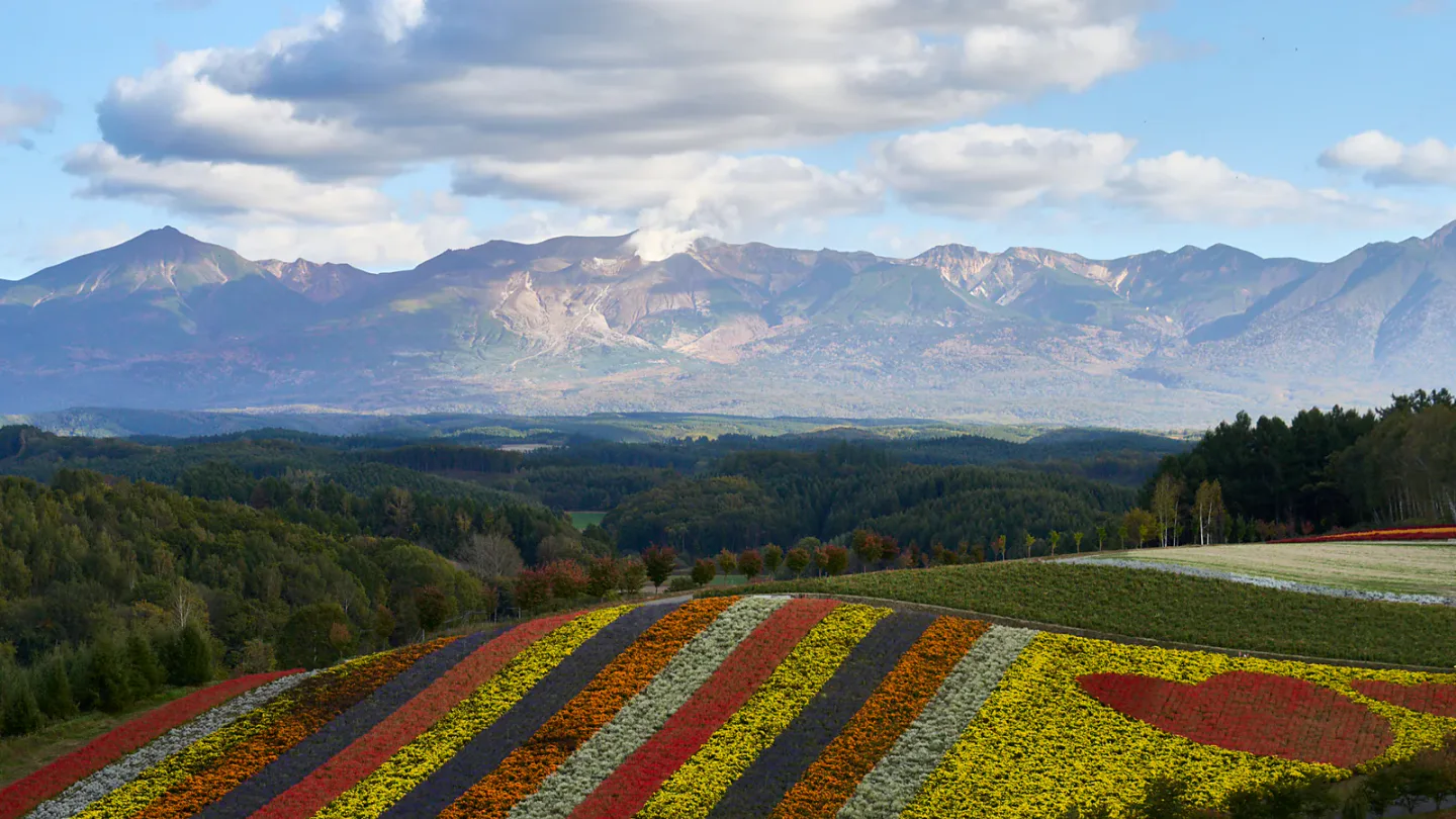 Hokkaido Autumn Leaves 2026: Daisetsuzan, Sapporo and Hakodate Routes — Japan travel guide