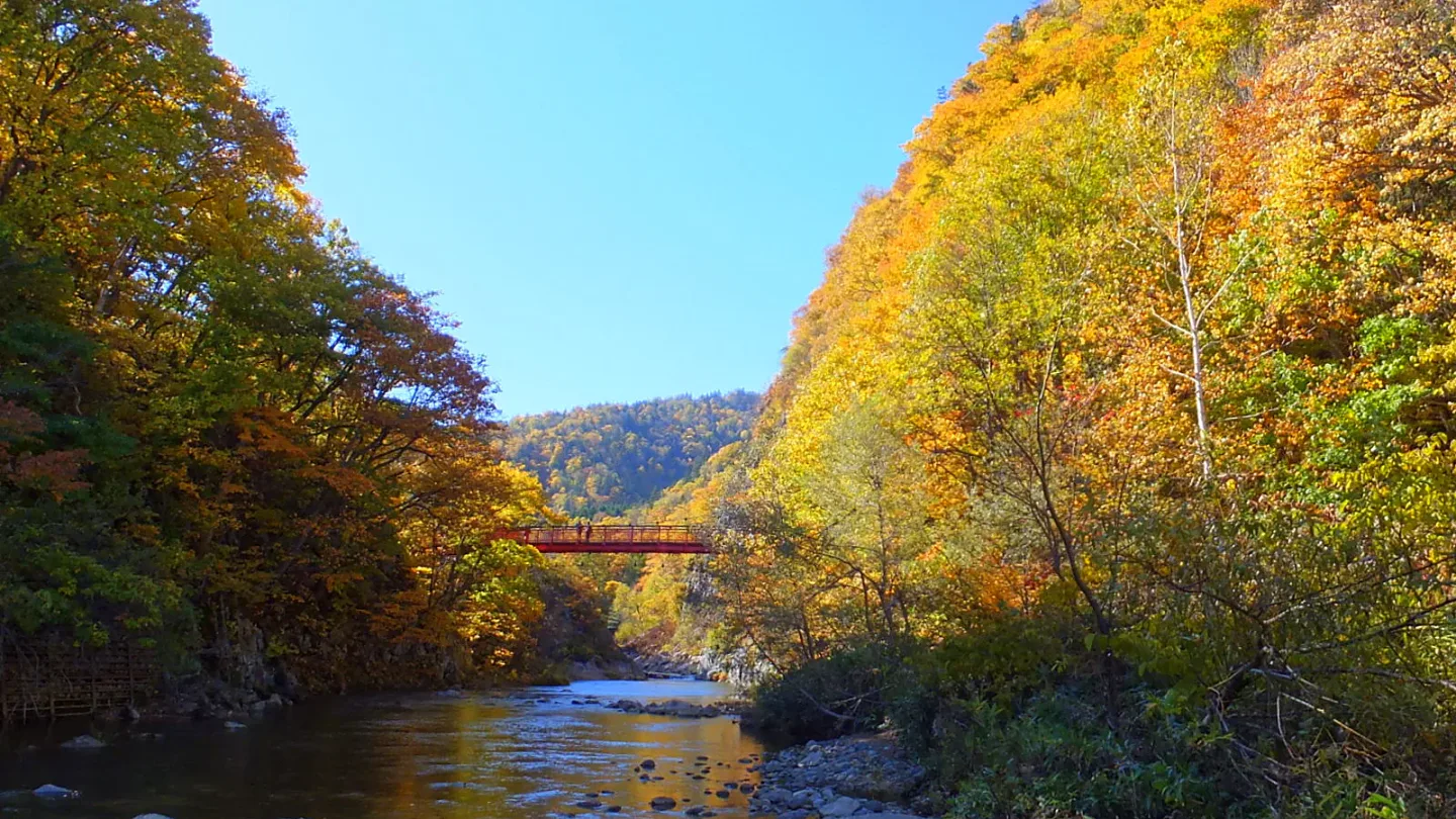 Where to Stay in Hokkaido for Autumn Leaves: Six Bases Compared — Japan travel guide