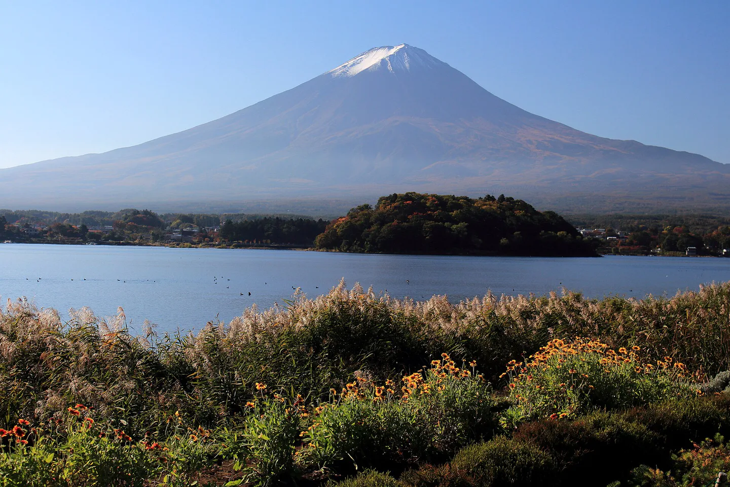 Things to Do in Kawaguchiko: Mt Fuji Views, Oishi Park, Ropeway and Fuji-Q