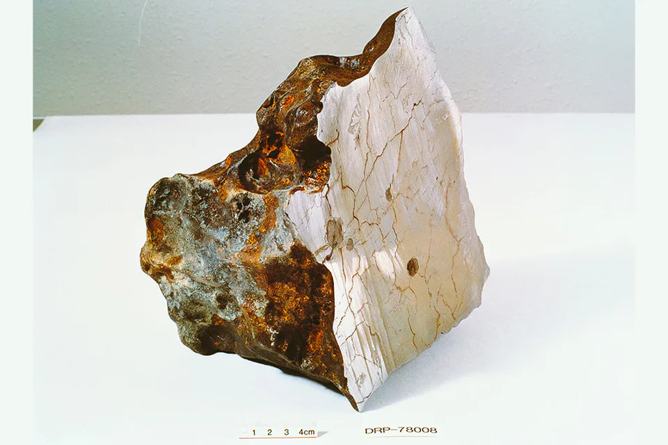 Antarctic meteorite displayed for Miraikan's Grand Antarctica Exhibition