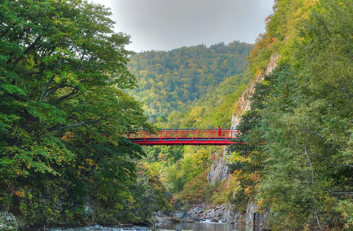 Jozankei Autumn Leaves 2026: Day Trip or Overnight? The Foliage Buses Change the Answer — Japan travel guide