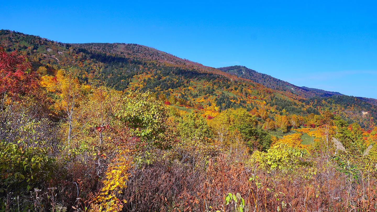 Tohoku Autumn Leaves Itinerary: 5 or 7 Days, JR EAST PASS and Hotels â Japan travel guide