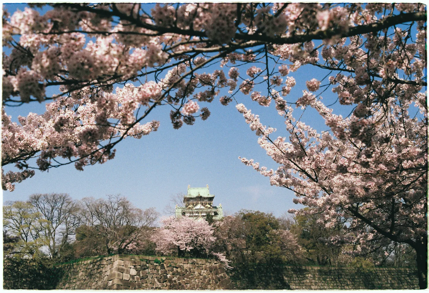Osaka Castle and Osaka Castle Park, a typical paid-sightseeing day where the Osaka Amazing Pass can make sense