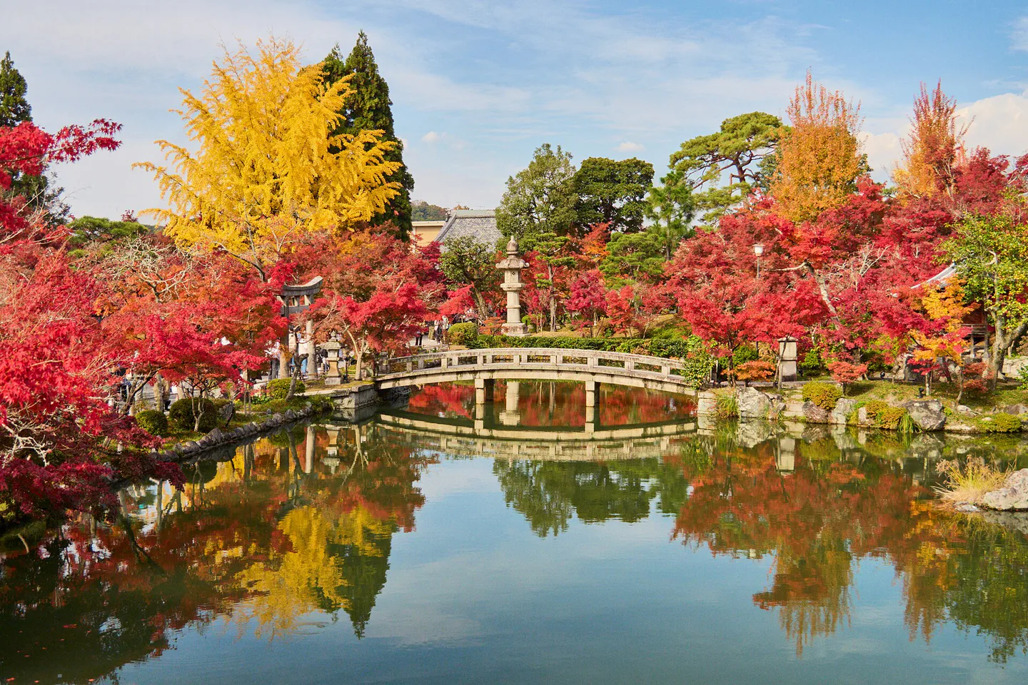 Kyoto Autumn Leaves Guide: Timing Map from Mountains to City — Japan travel guide